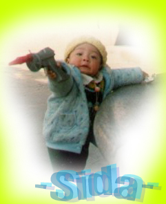 Sida Chen1