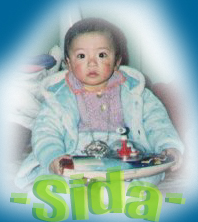 Sida Chen2
