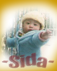 Sida Chen3