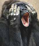 [ein langj�hriger Fan]