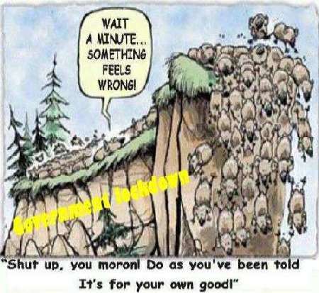 Karikatur von Ben Garrison, mit freundlicher Genehmigung