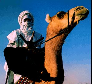 Tuareg on The Net