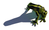 Frog Webring