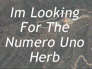 rename the file to .wmv