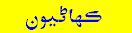Sindhi Stories