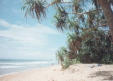Hikkaduwa Beach