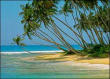 Hikkaduwa Beach
