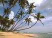 Negambo Beach
