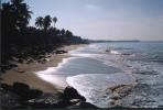 Weligama Beach