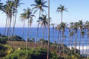 Weligama Beach