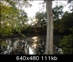 Looking over a pond towards the setting sun