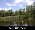 Tranquil pond