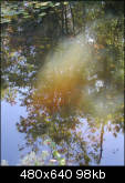 Reflections on murky water