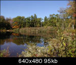 Pond in early fall