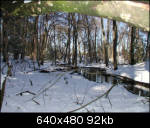Stream viewed under tree limb