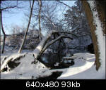Fallen tree over irrigation hole