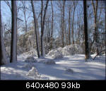 Sunny spot in the snow-covered woods