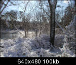 "Gnarly" snow
