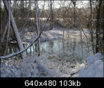 Looking over pond to field in woods on other side