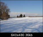 Looking over field toward a small cluster of trees