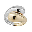 Ring011