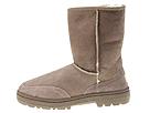 Ugg Ultra Short Women's (Taupe) - Women's