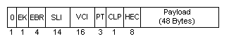 Figure of the fields and lengths in an  802.14 ATM cell