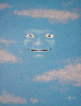 Mr. Blue Skies