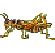 img6.gif (1512 bytes)