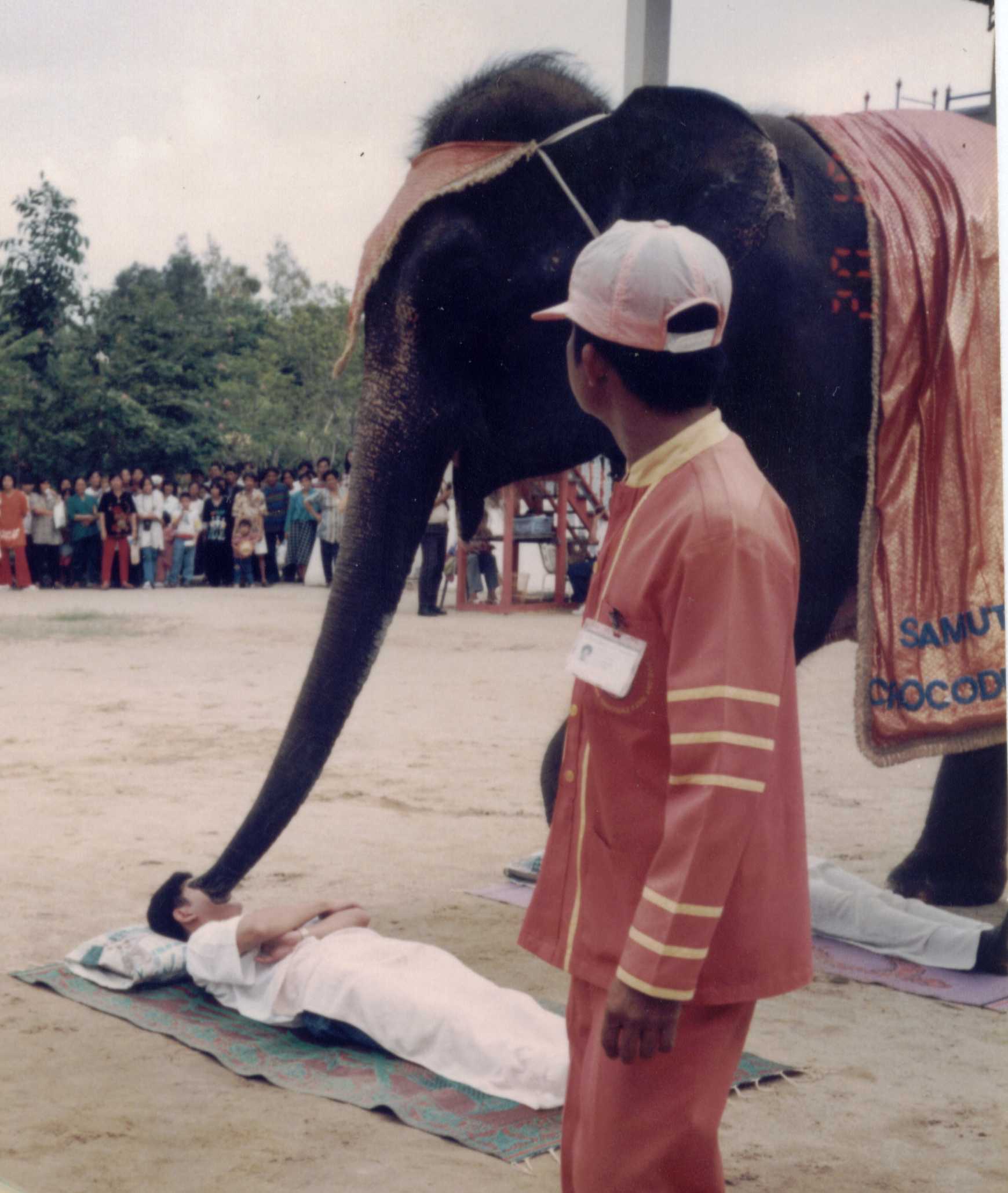 elephant walk over me at crocodile farm, bangkok, Thailand
