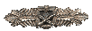 Silver Close Combat Clasp