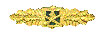 Gold Close Combat Clasp