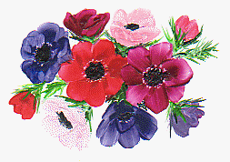 wpe23474.gif (22928 bytes)