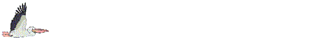pelicanfly.gif (30742 bytes)