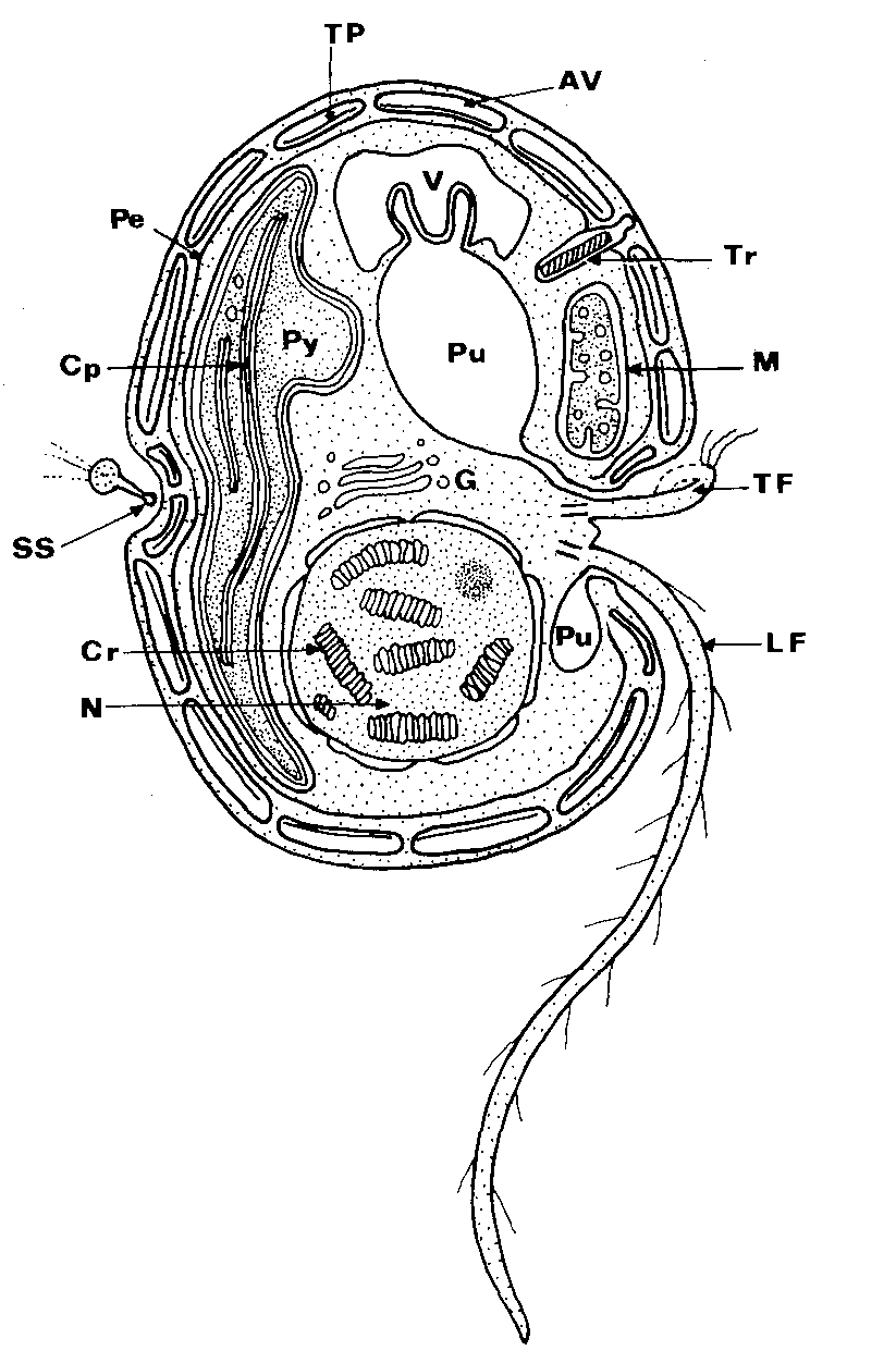 New Page 2, image size:823x1252