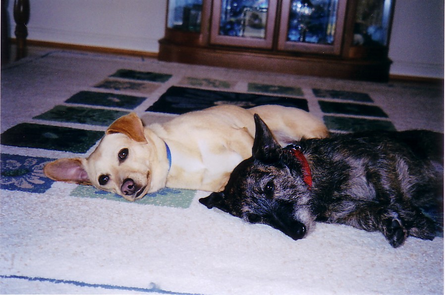 Snooze time !