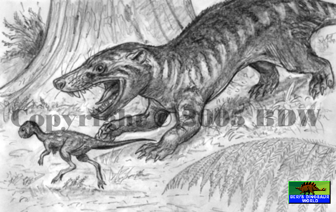 Repenomamus robustus by Beri