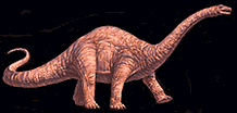 apato2.gif (6580 bytes)
