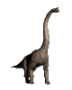 brachioclear.gif (10860 bytes)