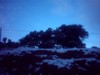 Nieve14.jpg