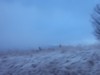 Nieve29.jpg