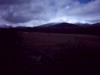 Nieve36.jpg