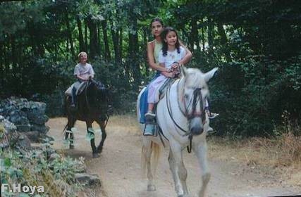 Caballos dociles.