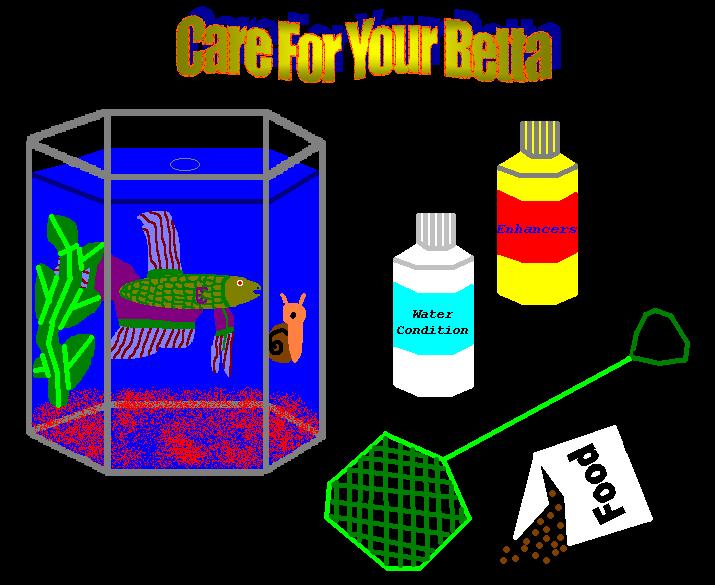 Supples Needed to Care For Your Betta Fish