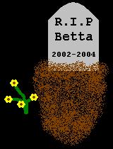 Grave site of a Betta