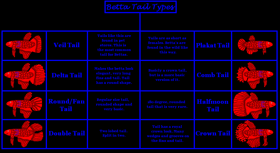 Tail types