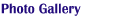 Photo Gallery