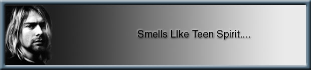 Smells Like Teen Spirit