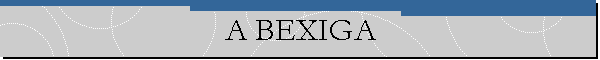 A BEXIGA