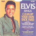 7cleanup.jpg (14920 Byte)